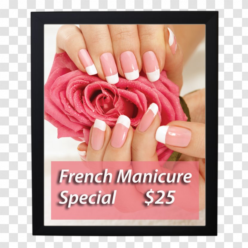 Artificial Nails Nail Salon Manicure Gel - Rose Family Transparent PNG