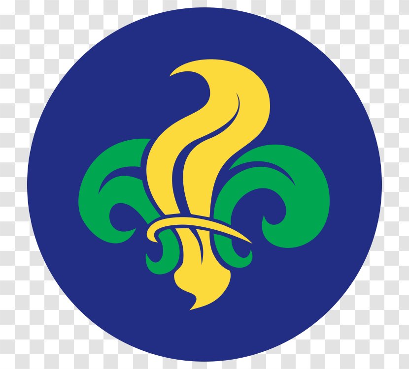 Scouting Escotismo No Brasil World Federation Of Independent Scouts Organization The Scout Movement - Brazil Transparent PNG