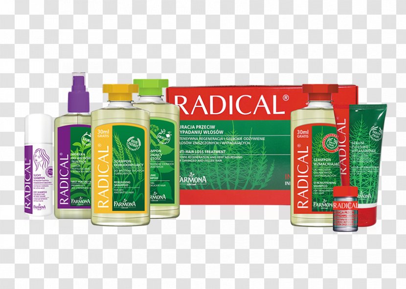 Hair Care .pl Cosmetics Web Banner - Pl Transparent PNG