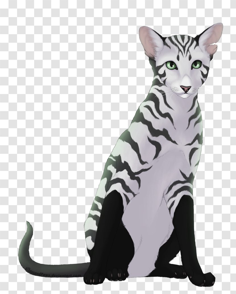 Domestic Short-haired Cat American Shorthair Toyger European Egyptian Mau - Mammal - Ferret Drawings Oc Transparent PNG