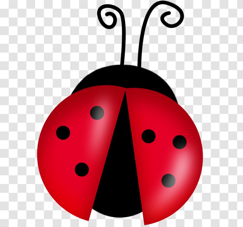 Cartoon Ladybird Drawing Clip Art - Beetle - Free Ladybug Cliparts Transparent PNG