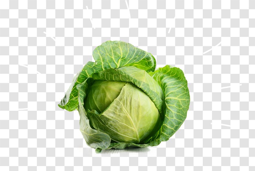 Cabbage Vegetable Broccoli Beetroot - Fruit Transparent PNG