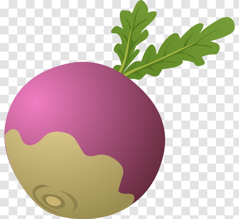The Gigantic Turnip Vegetable Clip Art - Cartoon - Rub Cliparts Transparent PNG