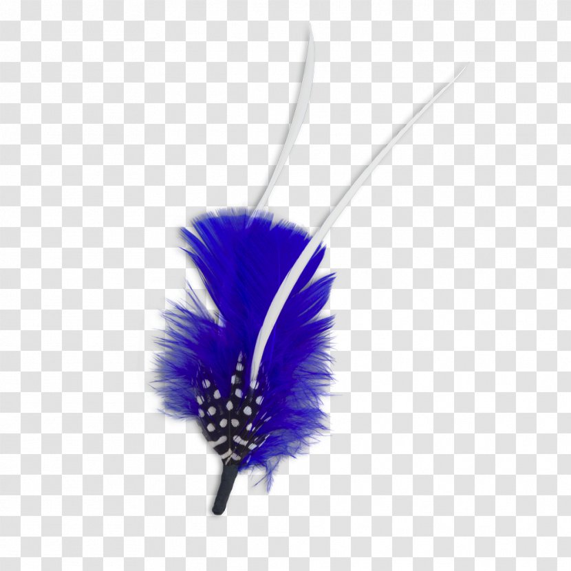 Feather - Material Transparent PNG