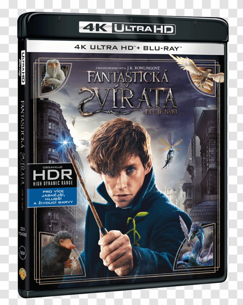 Katherine Waterston Fantastic Beasts And Where To Find Them Ultra HD Blu-ray Disc 4K Resolution - The Crimes Of Grindelwald - Dvd Transparent PNG