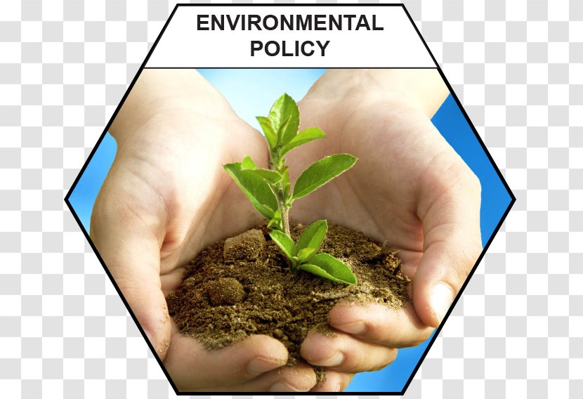 Ahmedabad Business Service Natural Environment Stock Photography - Soil Test - Environmental Firm Transparent PNG