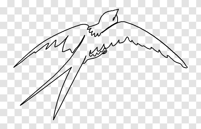 Barn Swallow Bird Drawing - Frame Transparent PNG