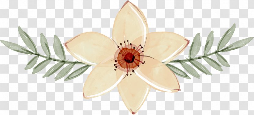 Floral Design Graphic User Interface - Decorative Plants Transparent PNG
