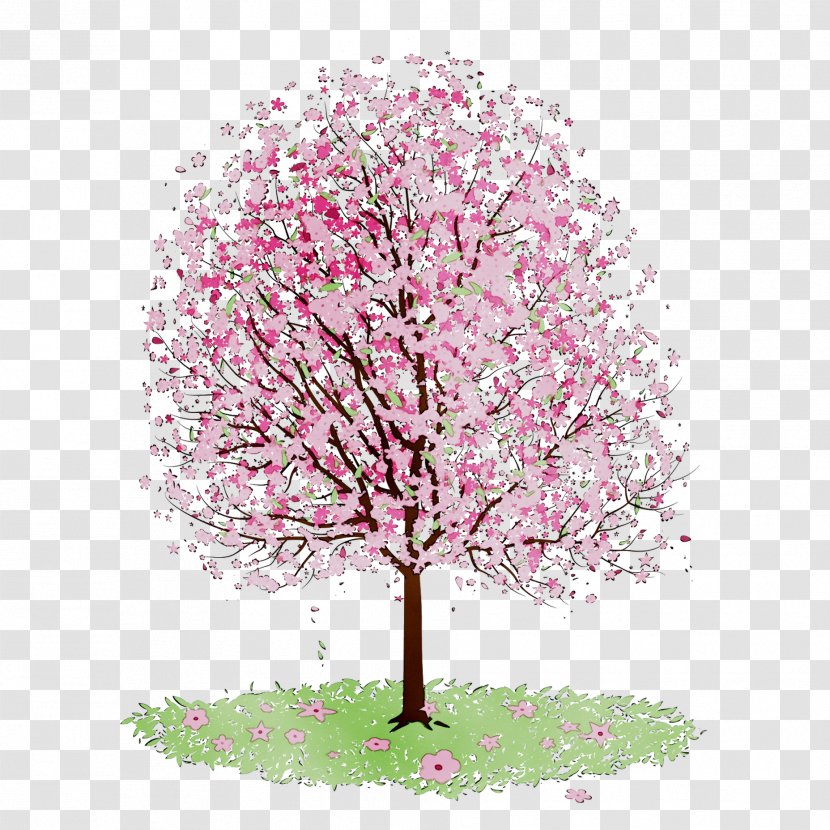 Clip Art Blossom Flower Image - Tree - Plant Transparent PNG