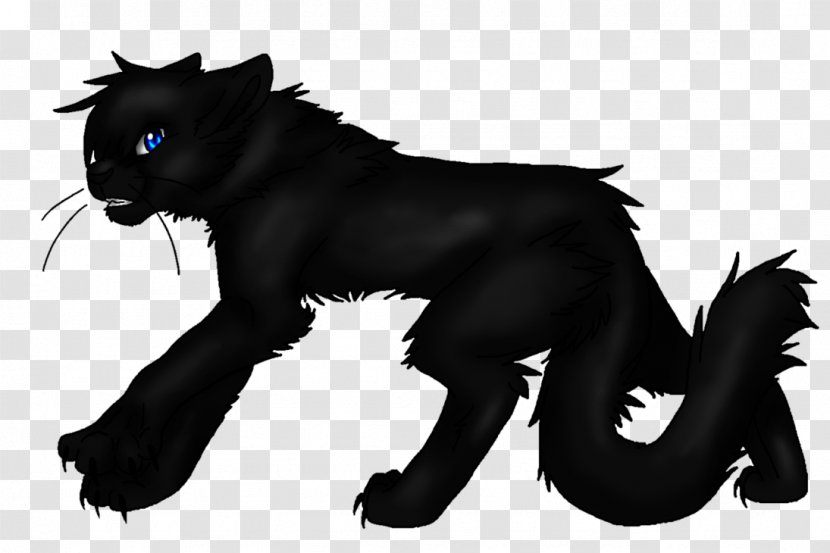 Black Cat Whiskers Cougar Mammal - Snout Transparent PNG