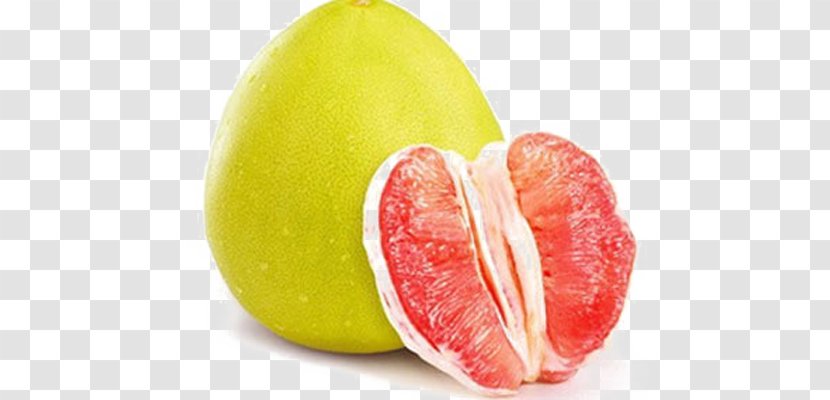 Grapefruit Juice Da Xanh Pomelo Tangelo Bergamot Orange - Red Soil Transparent PNG