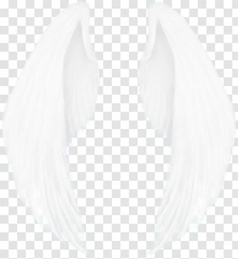 Feather - Fashion Accessory Wing Transparent PNG
