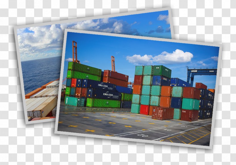 Export Freight Forwarding Agency International Trade Cargo - Service - Business Transparent PNG