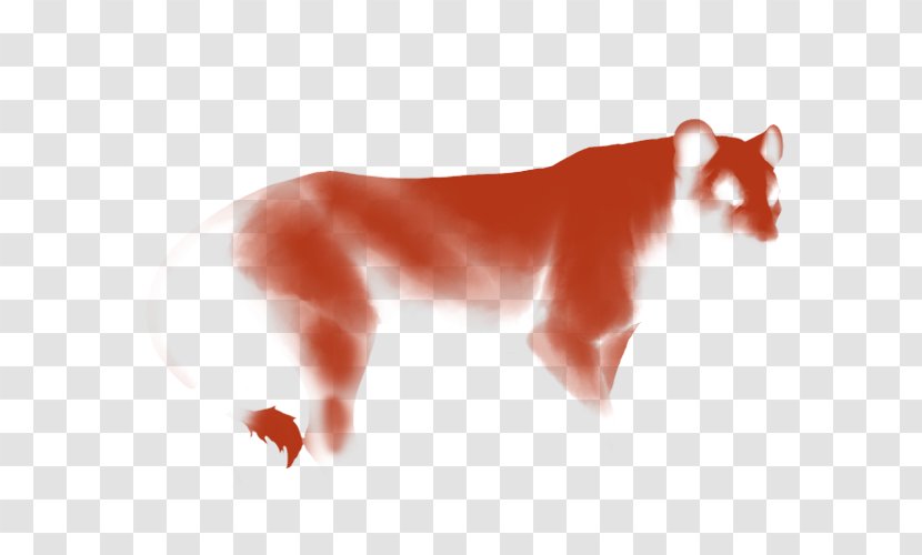 Whiskers Dog Cat Red Fox Snout - Onyx Transparent PNG