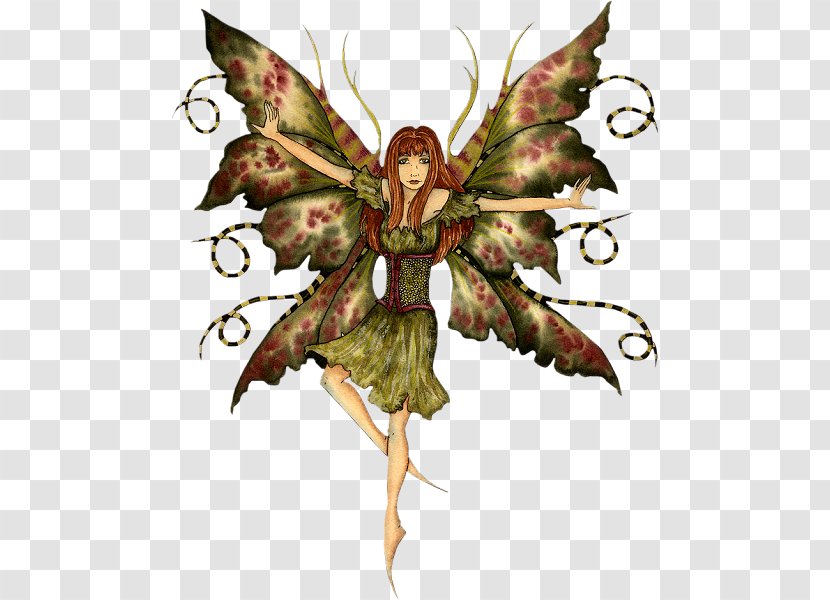 Fairy Duende Elf Faery Wicca Magic - Mythical Creature Transparent PNG