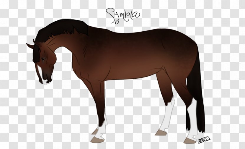 Mustang Foal Stallion Rein Halter - Mare Transparent PNG