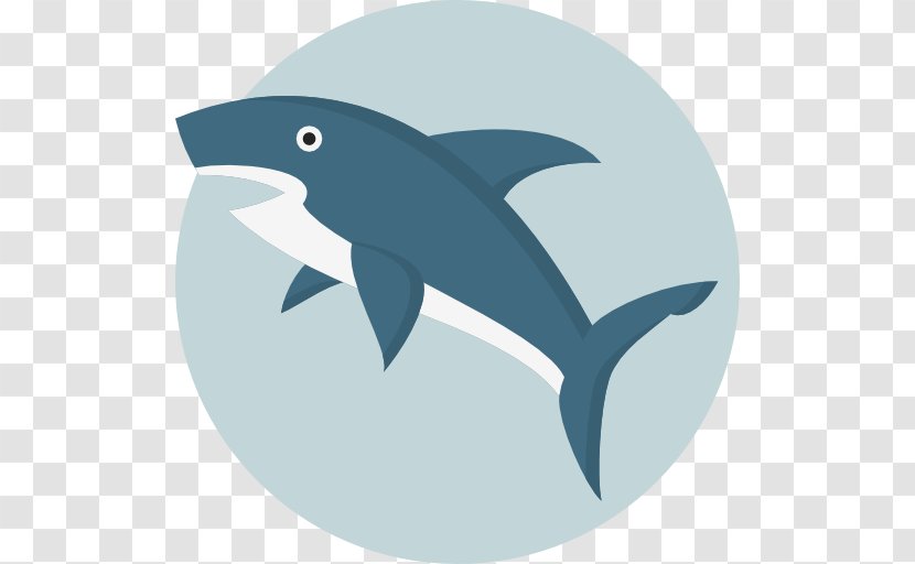 Shark - Animal - Fauna Transparent PNG