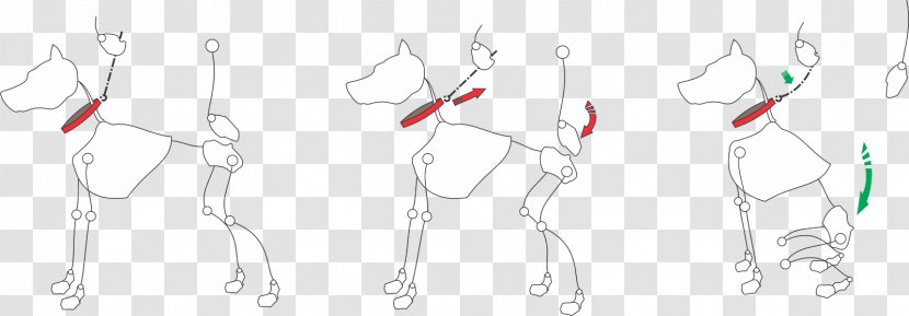 Drawing Line Art Sketch - Flower - Dog Stick Transparent PNG