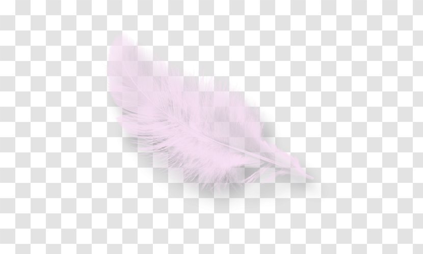 Pink M Feather RTV Transparent PNG