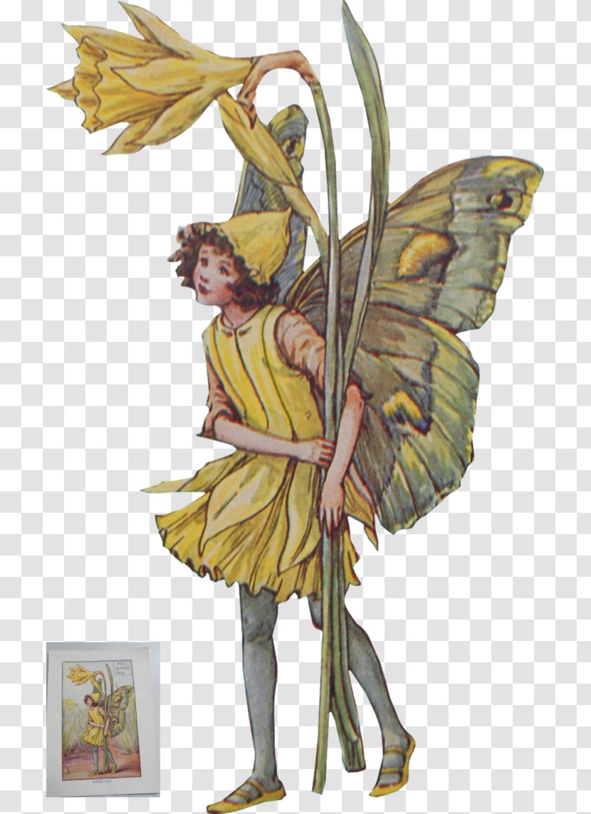 A Flower Fairy Alphabet The Book Of Fairies Complete Collection Library: Trees - Membrane Winged Insect Transparent PNG