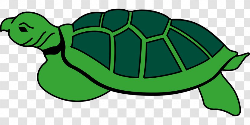 Sea Turtle Reptile Tortoise Clip Art - Leaf Transparent PNG