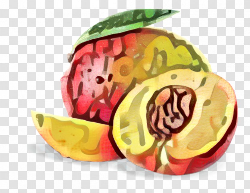 Vegetable Cartoon - Fruit - Plant Transparent PNG