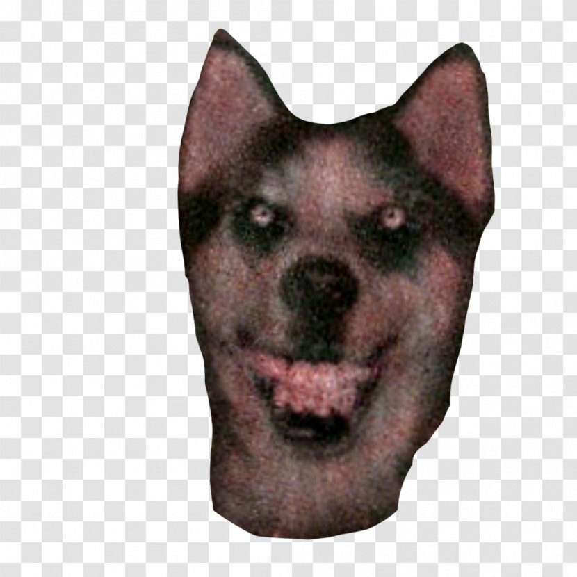 Dog Creepypasta Veterinarian Smile - Say Cheese Transparent PNG