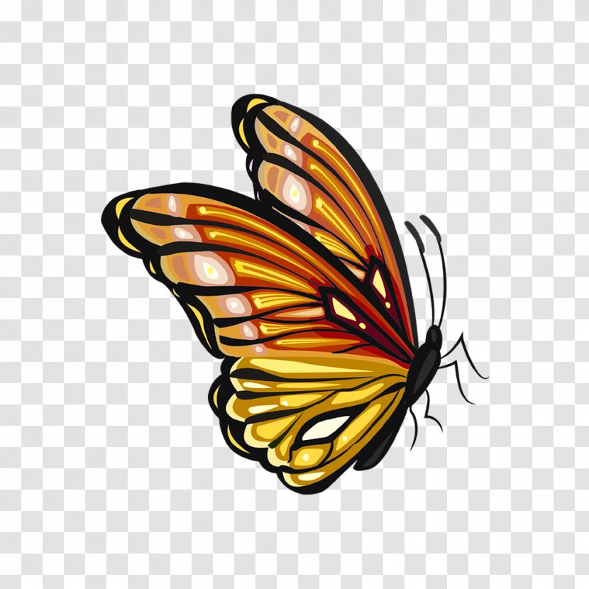 Monarch Butterfly Pieridae Insect Image - Bikr Design Element Transparent PNG