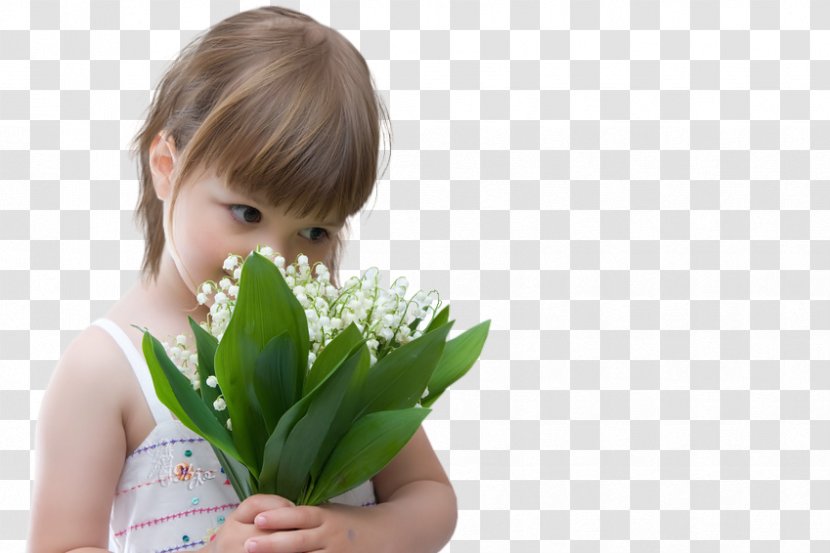 Lily Of The Valley Woman - Tree Transparent PNG