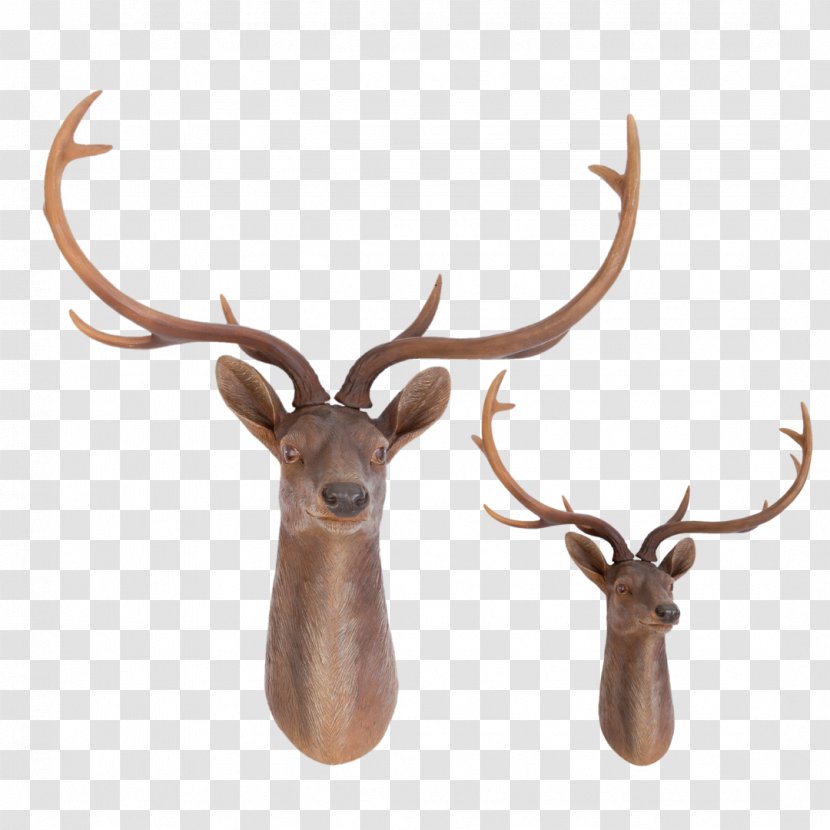 Elk Trophy Hunting Red Deer Reindeer Transparent PNG