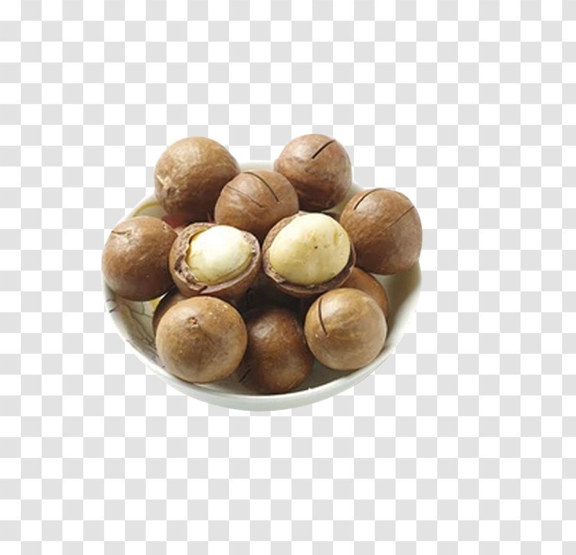 Macadamia Australia Walnut Zinc - Customer - And Hawaii Fruit Transparent PNG