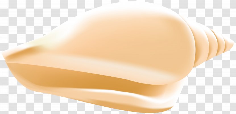 Close-up Peach - Closeup - Design Transparent PNG