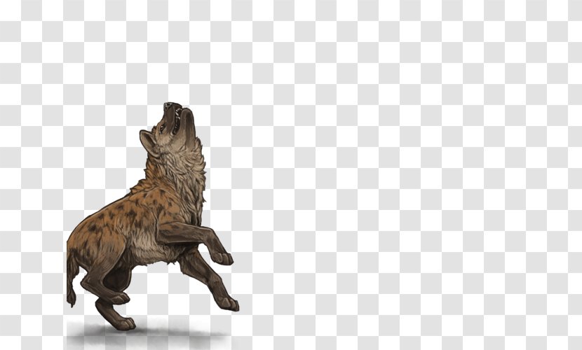 Lion Spotted Hyena Cat Carnivora Transparent PNG
