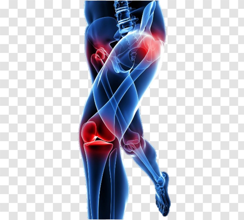 Low Back Pain Knee Management Neck - Organism - Shoulder Transparent PNG