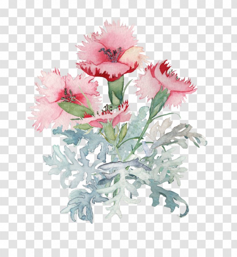 Watercolour Flowers Watercolor Painting Drawing - Carnation - White Flower Transparent PNG