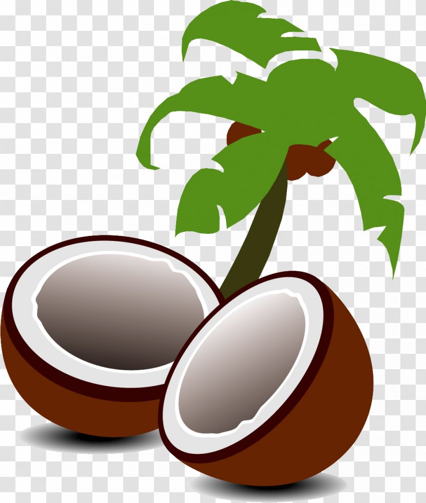 Coconut Water Milk Fruit Tree - Drink Transparent PNG