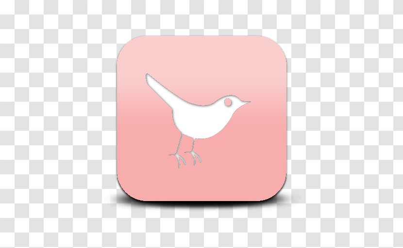 Bird Beak - Joe Jonas Transparent PNG