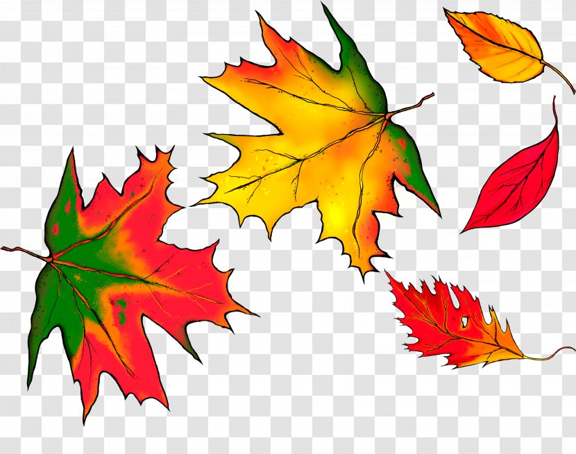 Autumn Leaves Maple Leaf - Painted Image Transparent PNG