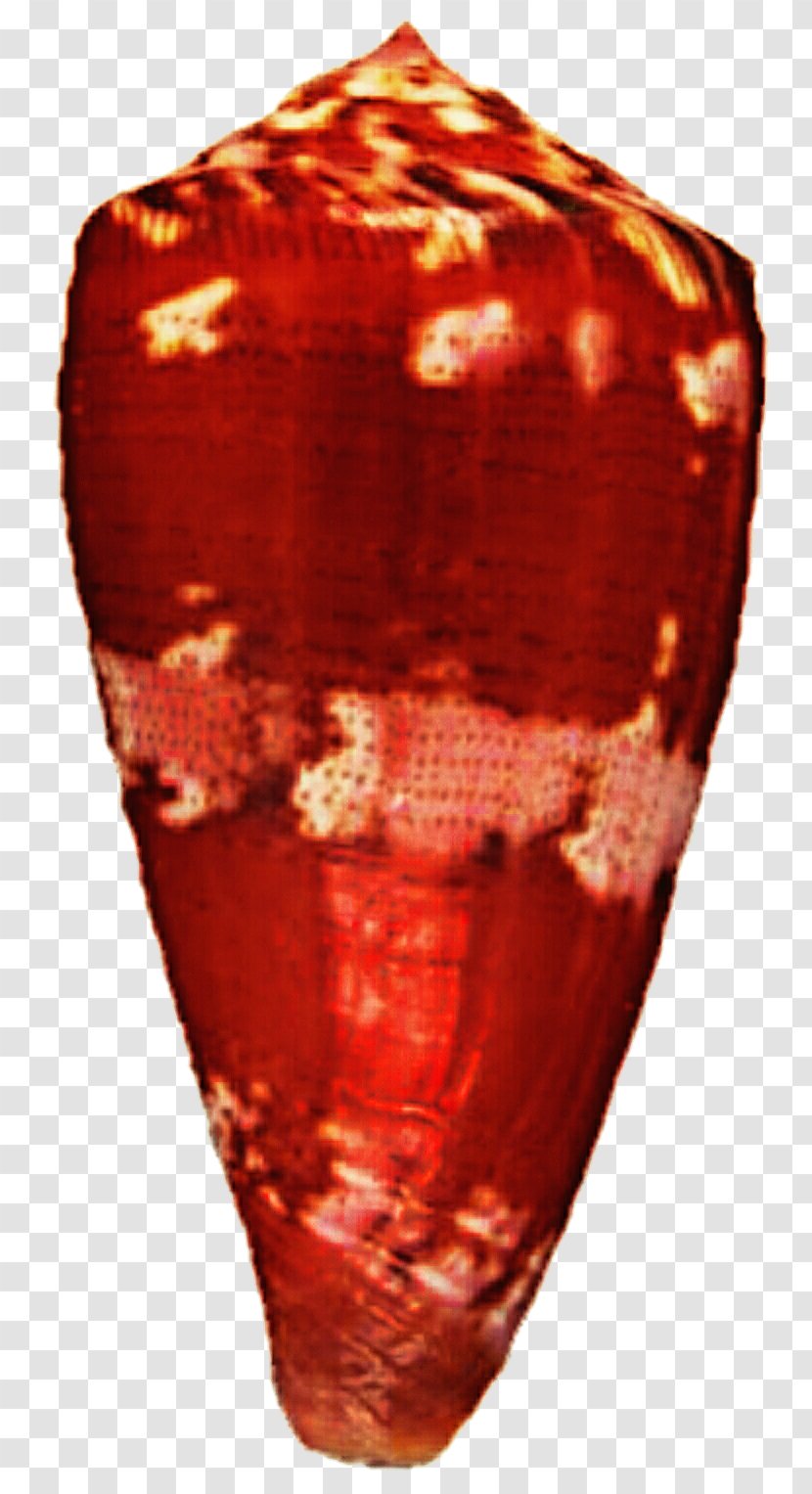 Vase - Artifact Transparent PNG