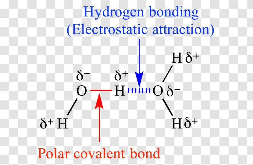 Chemical Polarity Organic Chemistry Molecule Covalent Bond - Cartoon Transparent PNG