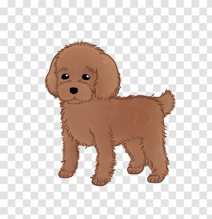 Goldendoodle Cockapoo Cavapoo Dog Breed Schnoodle - Companion - Puppy Transparent PNG