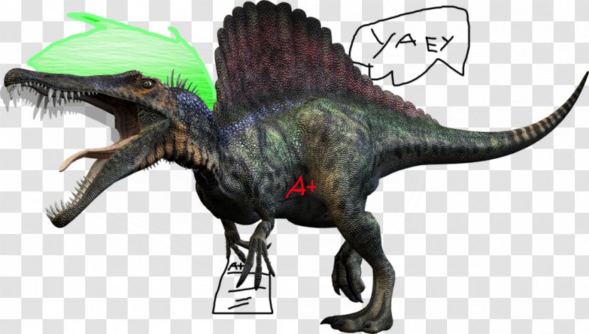 Spinosaurus Tyrannosaurus Carnivores: Dinosaur Hunter Giganotosaurus Size - Carnivore Transparent PNG