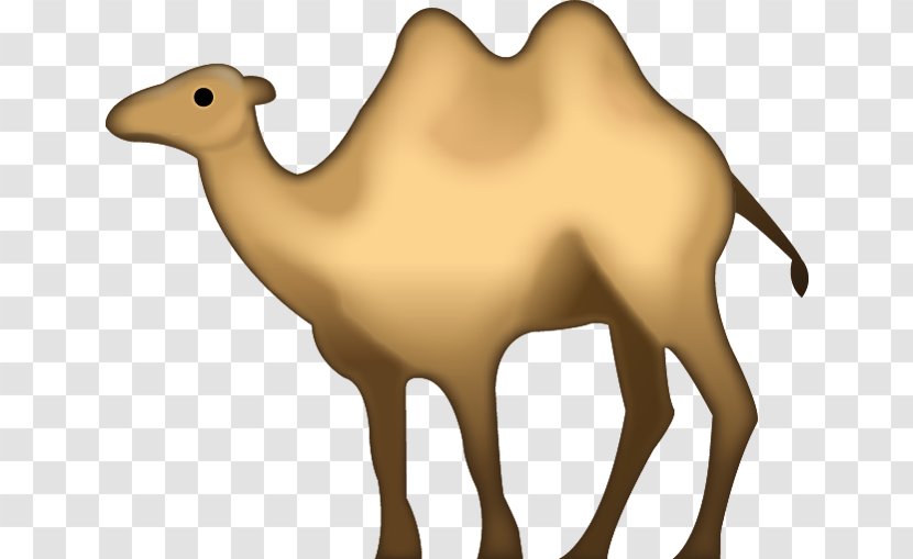 Bactrian Camel Dromedary Emojipedia IPhone - Toe Transparent PNG