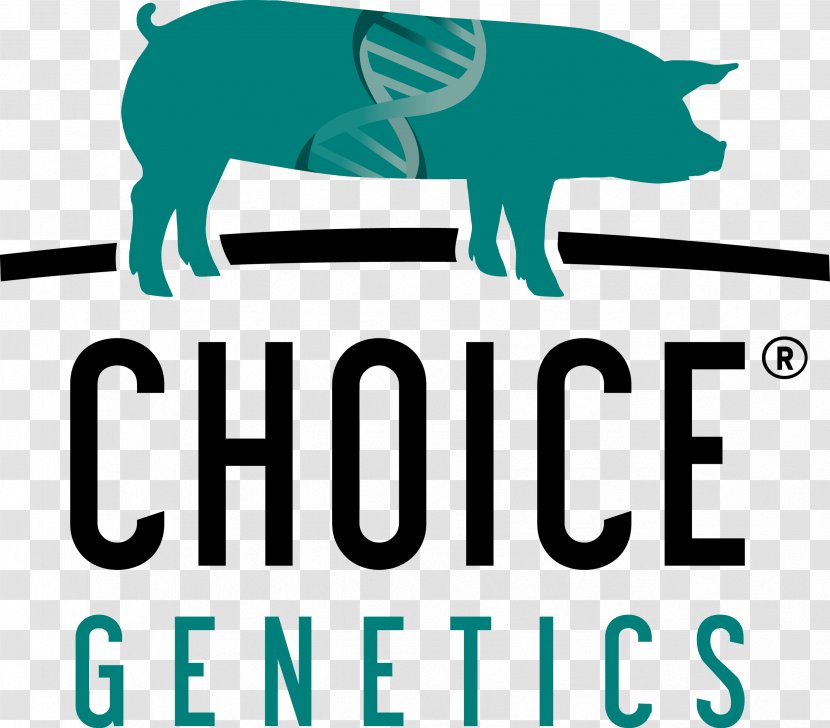 Choice Genetics USA, LLC Domestic Pig Animal - Business - Grimaud Transparent PNG