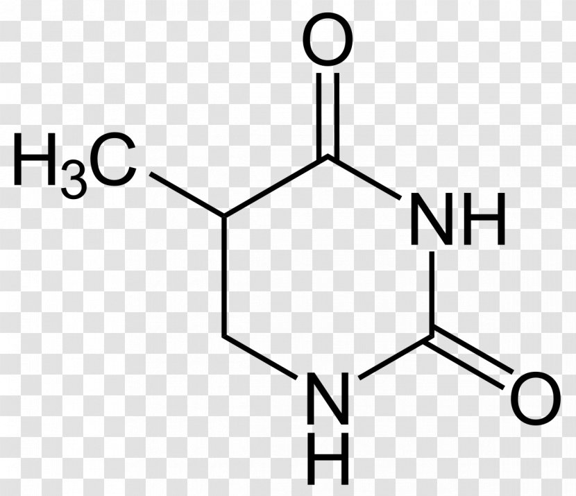 Thymine Hypoxanthine Barbituric Acid Uracil Uridine Monophosphate - Cartoon - Frame Transparent PNG