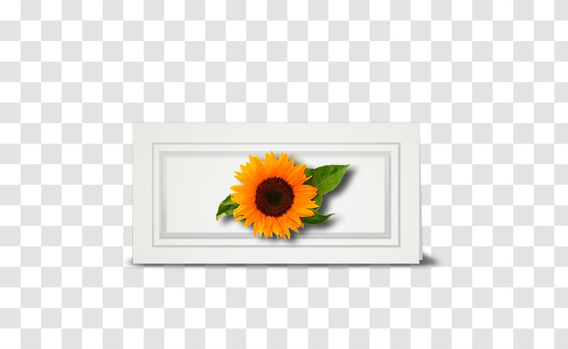 Common Sunflower Cut Flowers Floral Design Daisy Family - Seed - Leaf Transparent PNG