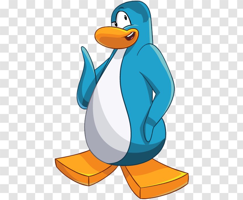 Club Penguin Flightless Bird Little - Artwork Transparent PNG