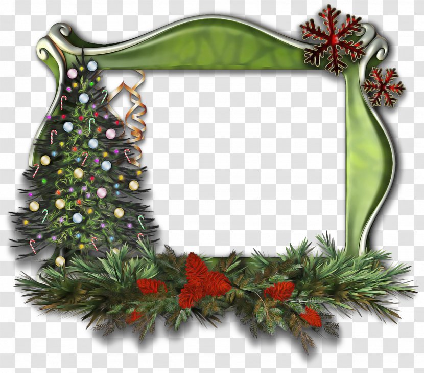 Christmas Picture Frame - Plant - Flower Twig Transparent PNG