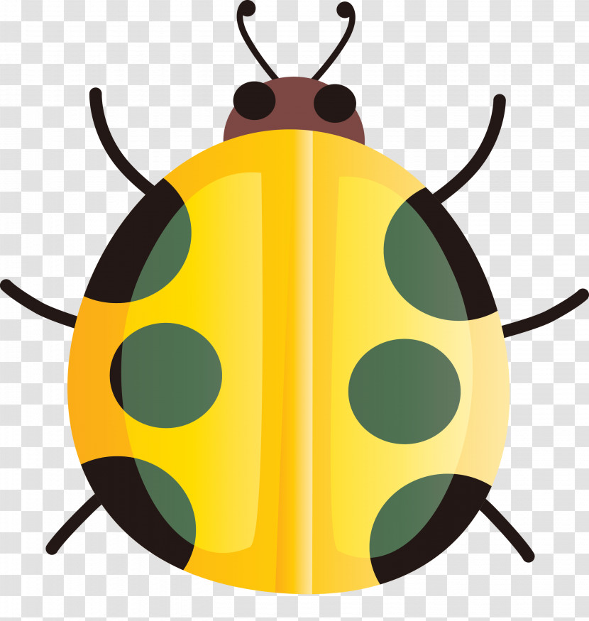 Insect Yellow Jewel Bugs Pest Leaf Beetle Transparent PNG