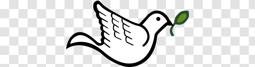Columbidae Doves As Symbols Clip Art - Beak - Dove Cliparts Transparent PNG